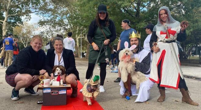 Our SYM & Howl-o-ween Recap!