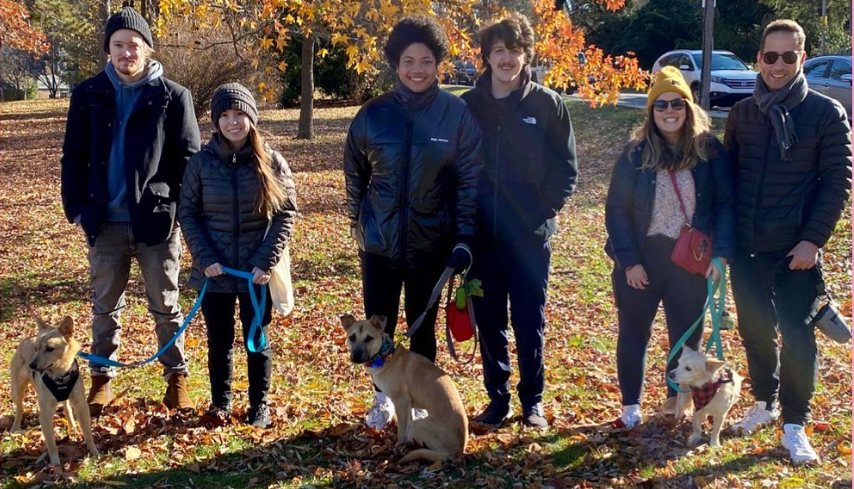 Our First Boston Pack Walk!