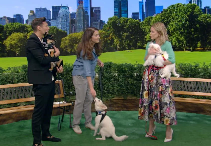 Our Pups on Live with Kelly and Ryan!