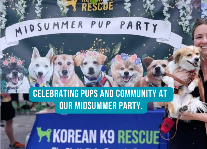 A MidSummer Pup Party Triumph