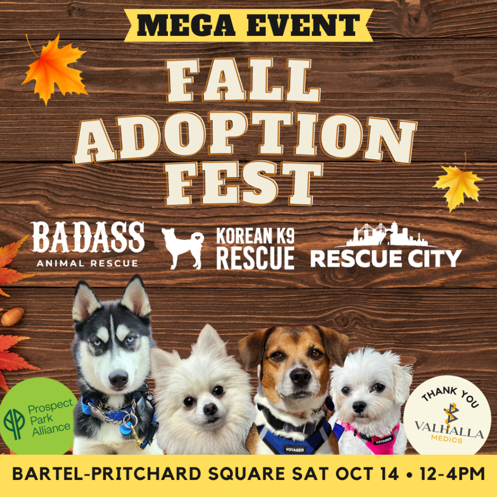 Join our Fall Adoption Fest with fellow Rescue Groups!