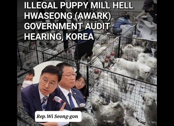 Updates on the Hwaseong Puppy Mill Shutdown