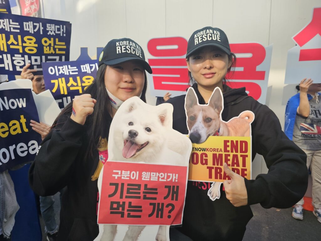 Victory for Dogs: South Korea Bans the Dog Meat Trade by 2027