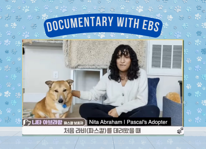 We did a Documentary with EBS!