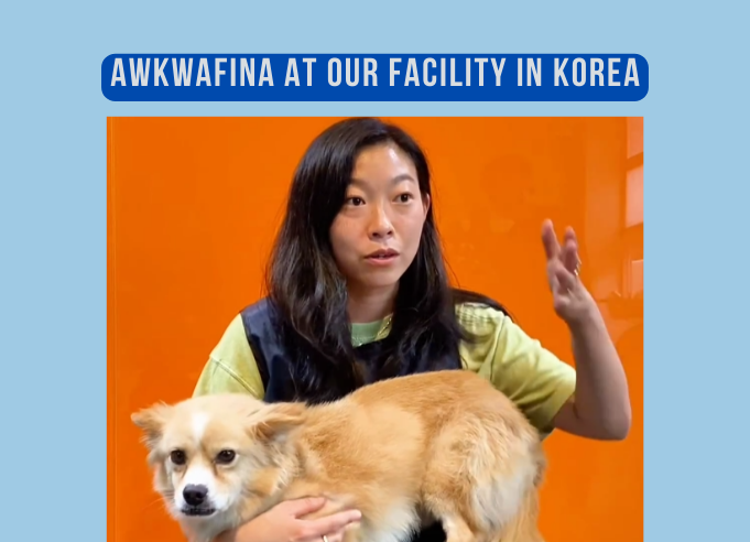 Awkwafina visited our Bundang Facility!