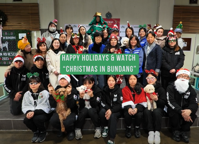 Happy Holidays and our “Christmas in Bundang” recording is ready!