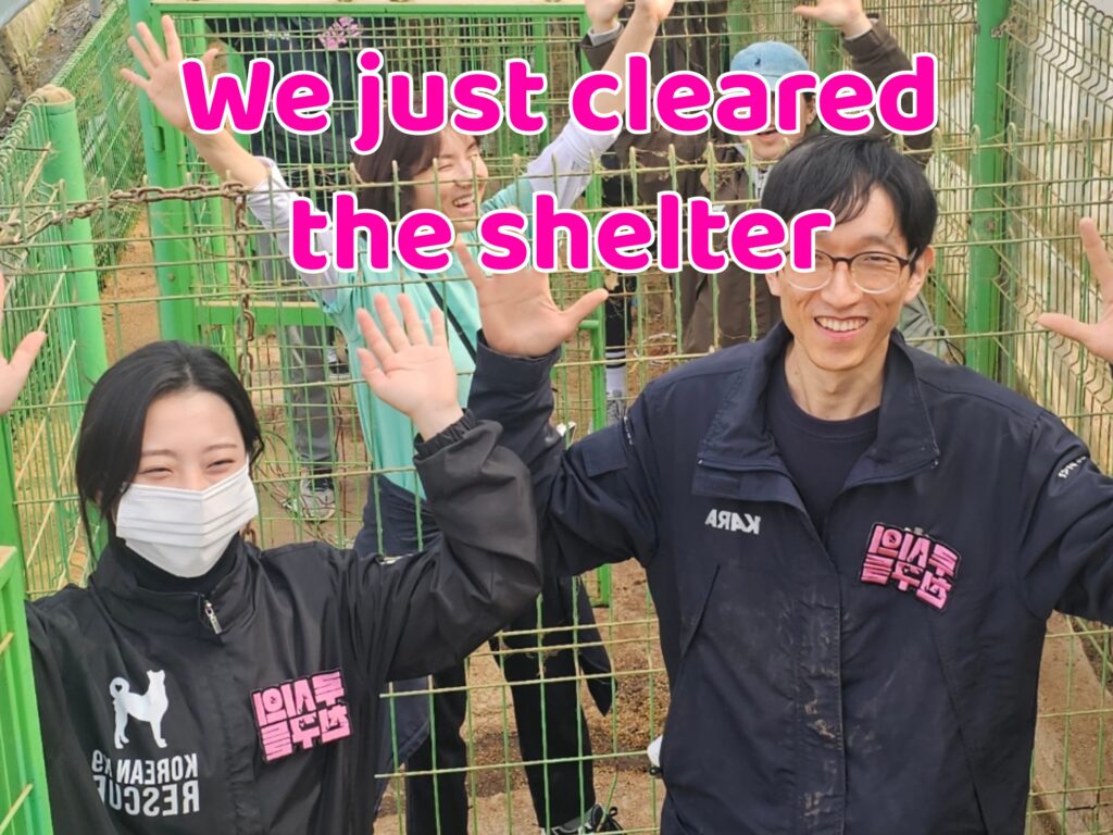  A Milestone in Compassion: Emptying Hongseong-gu Shelter