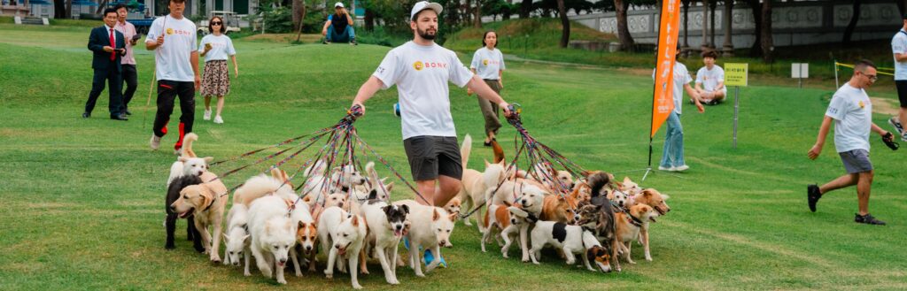 KK9R Rescue Dogs Set a New Guinness World Record on September 5th!