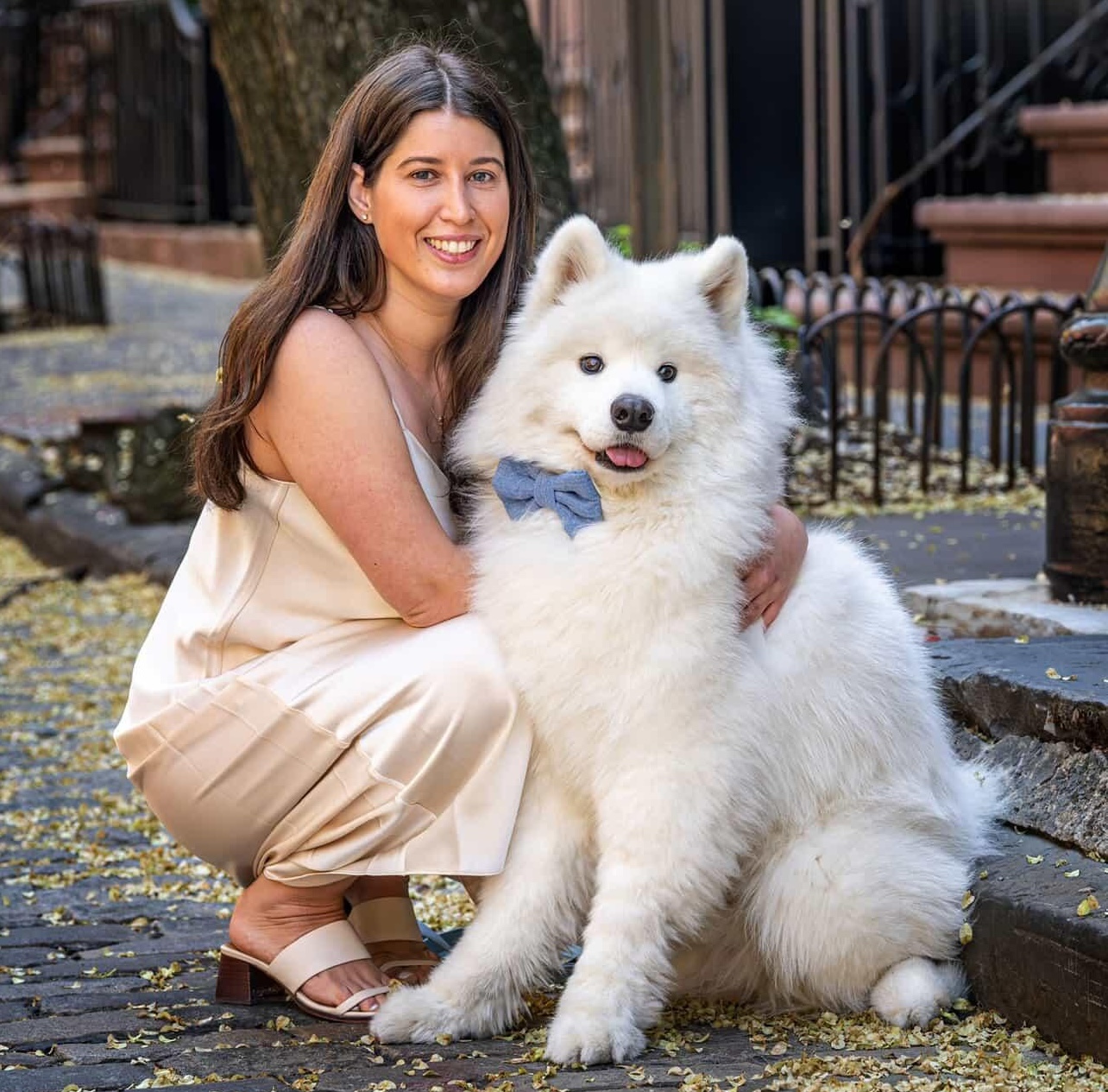 Honorary Dog Board Member Waffles