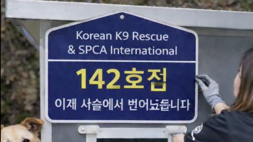 SPCA International Awards $100,000 Grant to Operation 1M